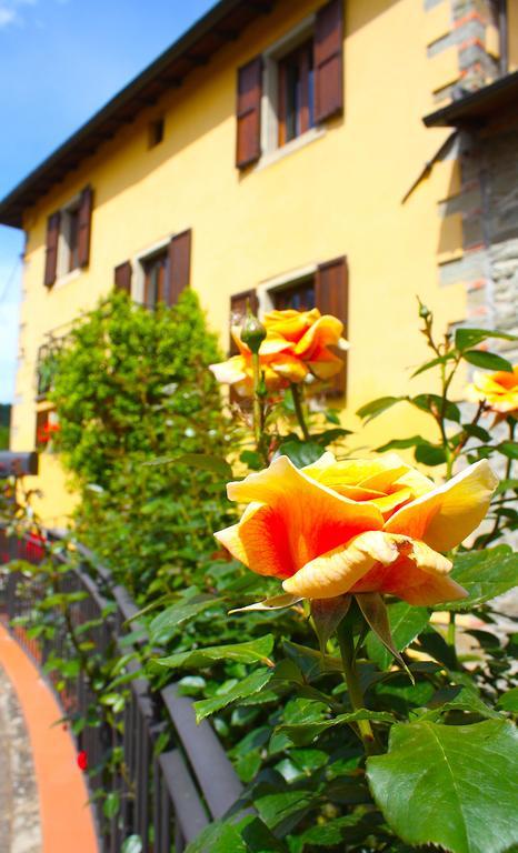 Villa "Corte De' Baldi" Ortignano Raggiolo Exteriér fotografie